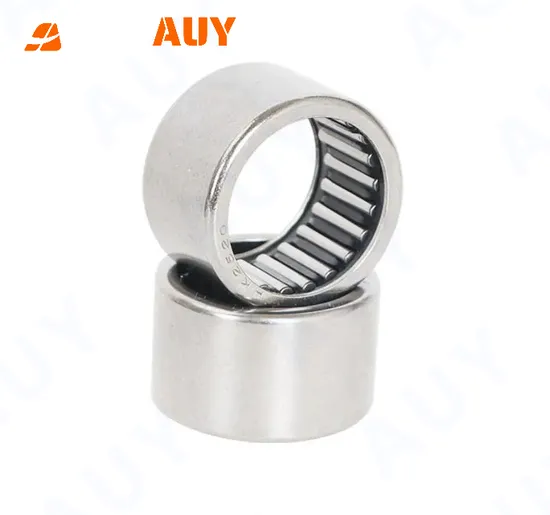 Auy K 18X24X20 HK 3018 RS K 35X40X13 Needle Bearing High Load Capacity