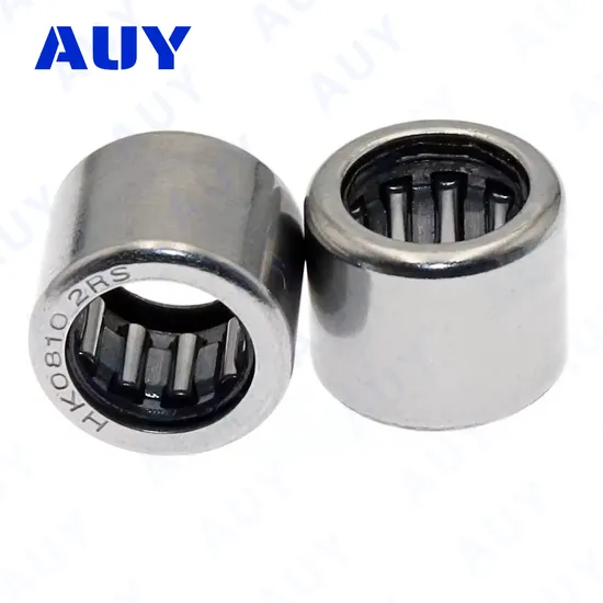 Auy K 16X20X10 NKI 32/30 Needle Roller Bearing High Load Capacity