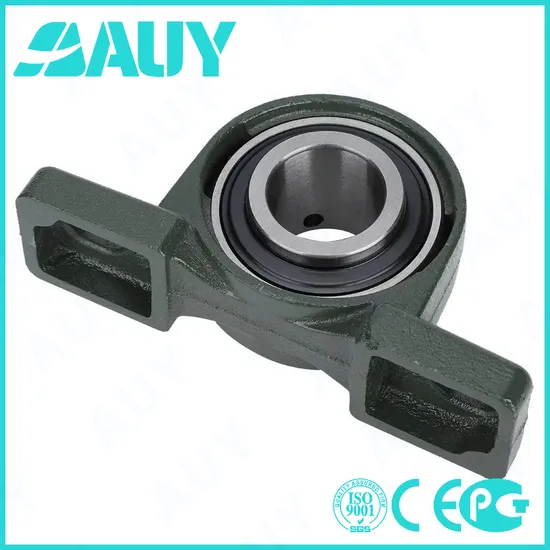 Auy Factory Outlet P2B-015-TF-AH Cast Iron Pillow Block Bearing High Precision