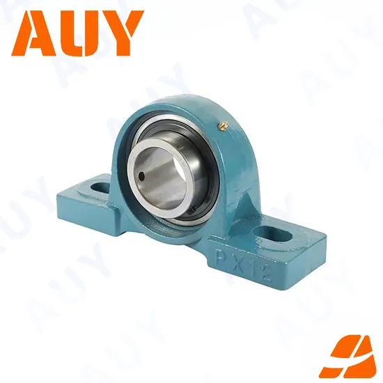 Auy P2bss 012-Tpss UCP 207-20 RM Pillow Block Bearing High-Precision Casting Machinery