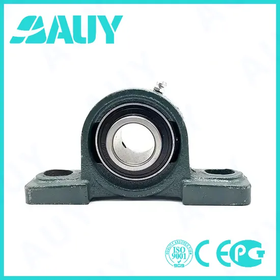 Auy P2bss 104s-Cpss-Dfh High-Precision Pillow Block Bearing UCP 313