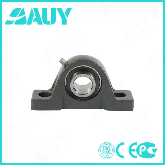 Auy P2BL 112-TF-AH High-Precision Pillow Block Bearing