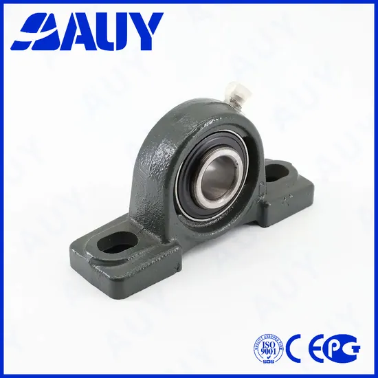 Auy P2BSS-40M Pillow Block Bearing Durable P2 Precision