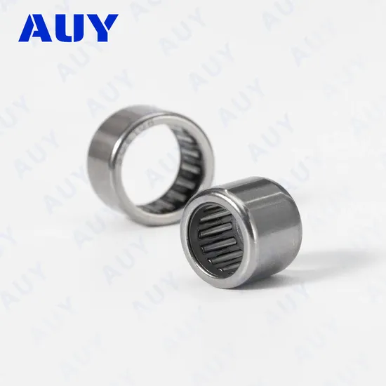 Auy NA4904.2RS NK95/36 RNA4903 Needle Roller Bearing High Load Capacity