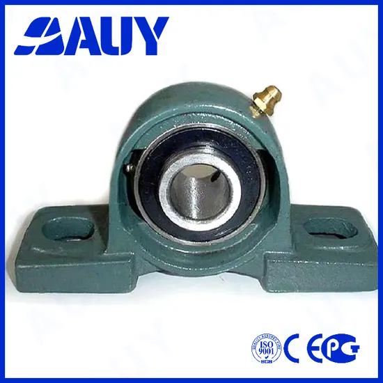 Auy P2BSS 106-TPSS High Speed Pillow Block Bearing 60M-TR FM014