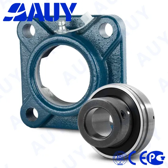 Auy Hot Sale F4BSS 108-TPSS 108 UCF204/H FY40 WDW Pillow Block Bearing