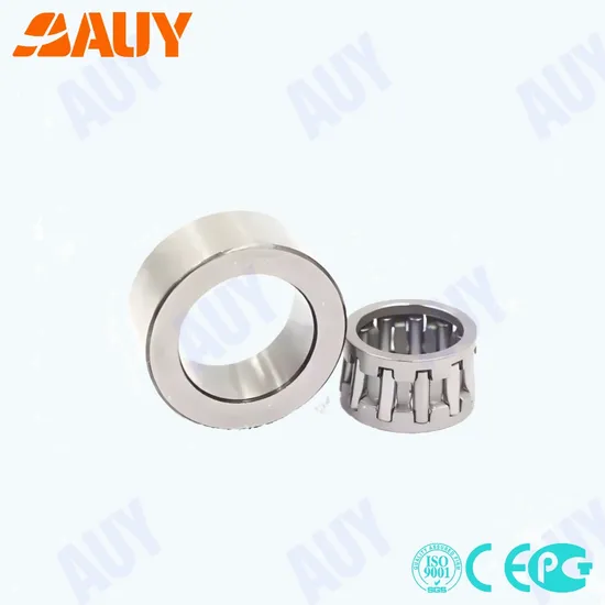 Auy NA 4907.2RS NKI 9/16 High Load Needle Bearing