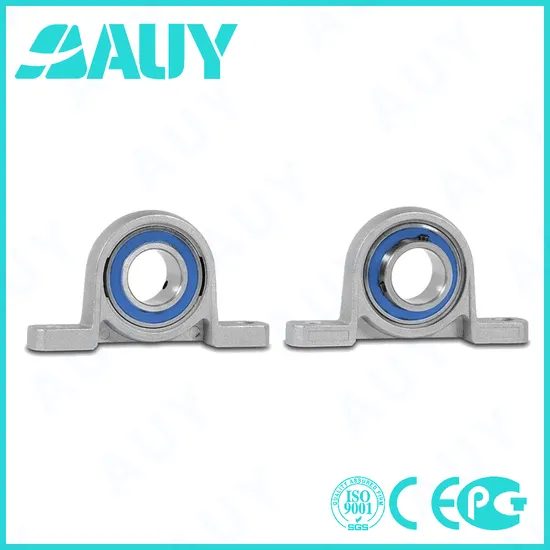 Auy P2BTC 100-Cpss-Dfh UCPA 206 SY55 WF Stainless Pillow Block Bearing for Mining Machinery
