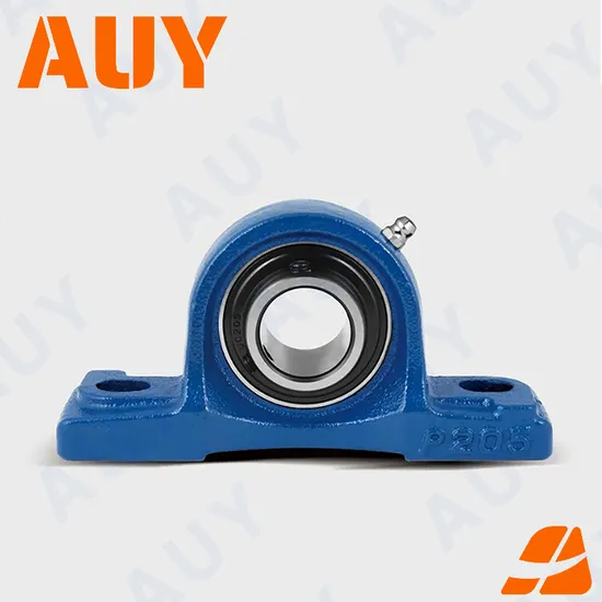 Auy OEM P2BTC 100-TPZM Stainless Pillow Block Bearing High Load Capacity