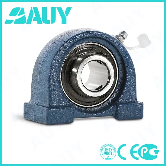 Auy P2BTC 015-TPZM 015 Pillow Block Bearing High Precision