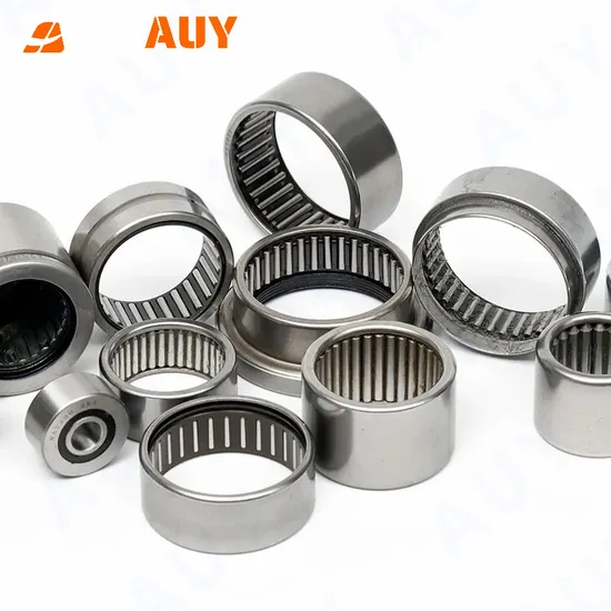 Auy K 20X24X13 Bk 2018 RS HK 1814 High-Precision Needle Roller Bearing