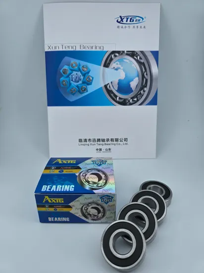 Axtg 6300-6307 2RS ZZ Deep Groove Ball Bearings High Quality