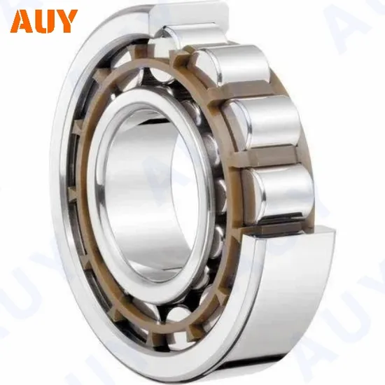 Nup 2207 Ecp Cylindrical Roller Bearings Corrosion-Resistant for Casting Machinery