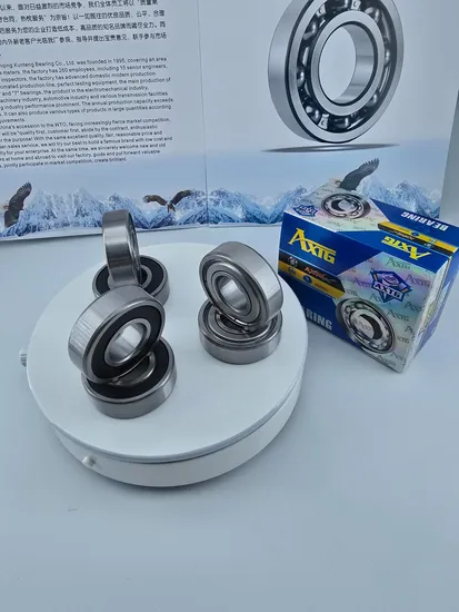 6202 6206 6209 6303 C3 Bearings High Precision