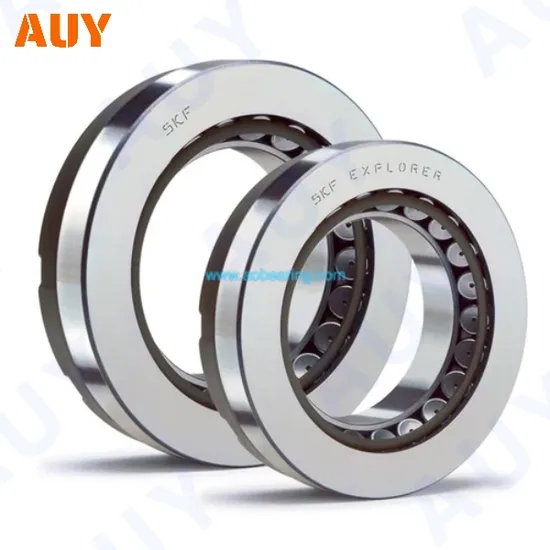 Durable N 315 Ecm Cylindrical Roller Bearing High Load Capacity