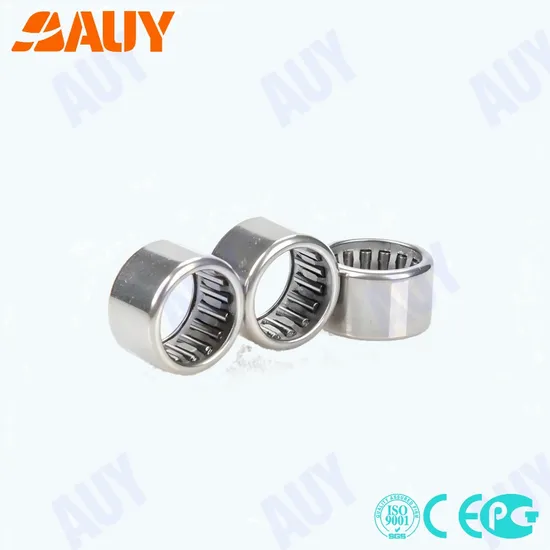 Factory Outlet RNAO 8x15x10 TN High Load Needle Roller Bearing