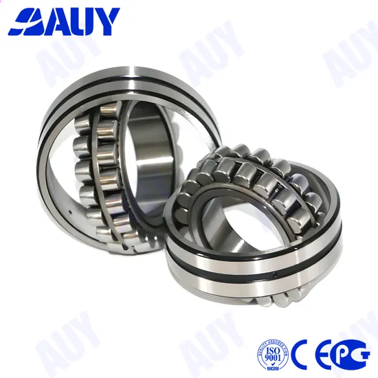 241/500-2CS5K30/C3hgea8 Bearing 21317 E High Precision Chrome Steel