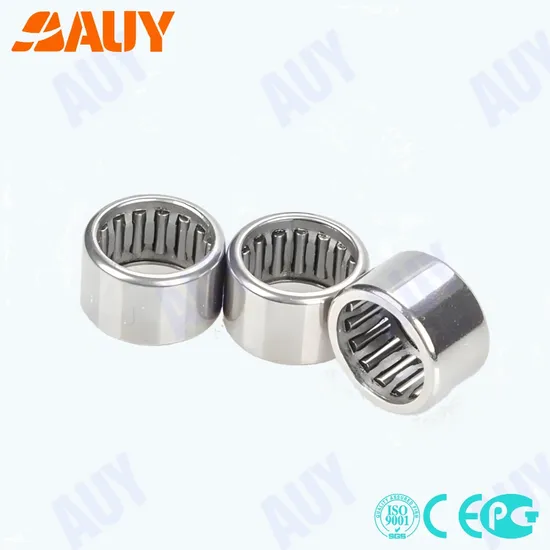 Hot Sale RNAO 12x22x12 High-Strength Needle Roller Bearing