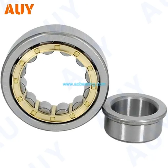 Nu 307 Ecph NUP 207 ECM Cylindrical Roller Bearings High Load Capacity