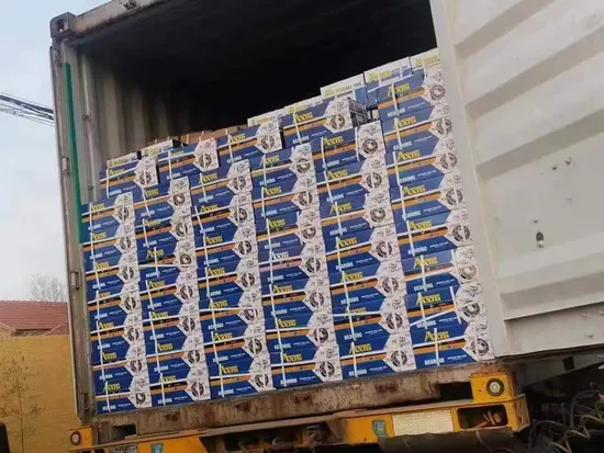 Top-Quality Zv1 Zv2 Zv3 Deep Groove Bearings for Motorcycles